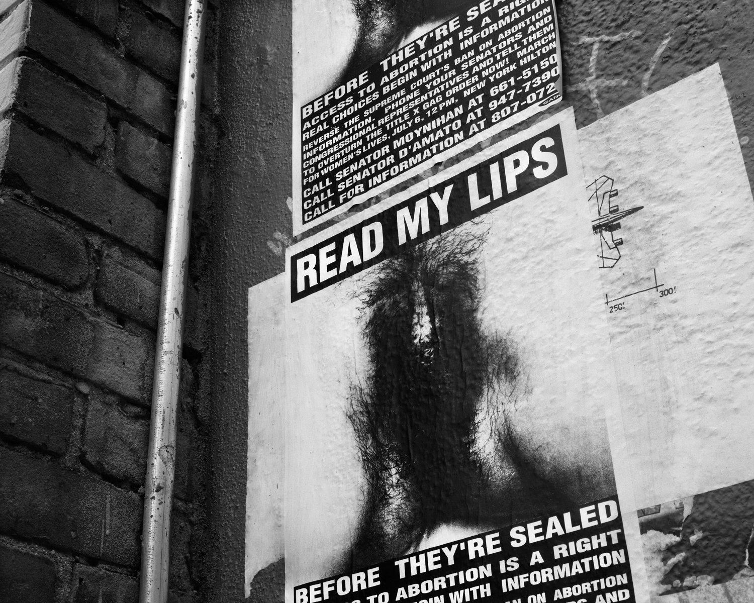 Read My Lips